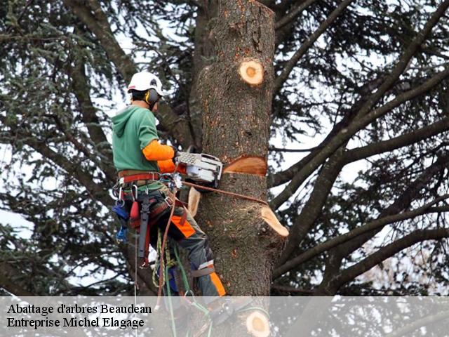 Abattage d'arbres  beaudean-65710 Entreprise Michel Elagage