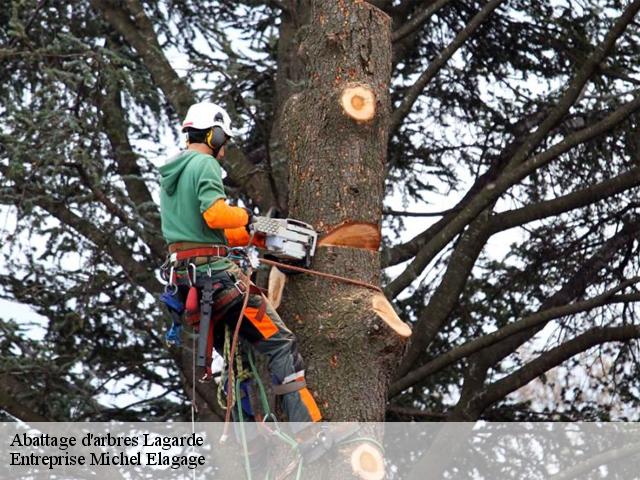 Abattage d'arbres  lagarde-65320 Entreprise Michel Elagage