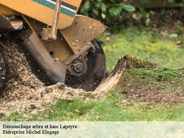 Dessouchage arbre et haie  lapeyre-65220 Entreprise Michel Elagage